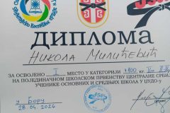 dzudo-diploma