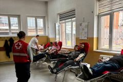 552431855_1140832487509895_4060911606352851919_n